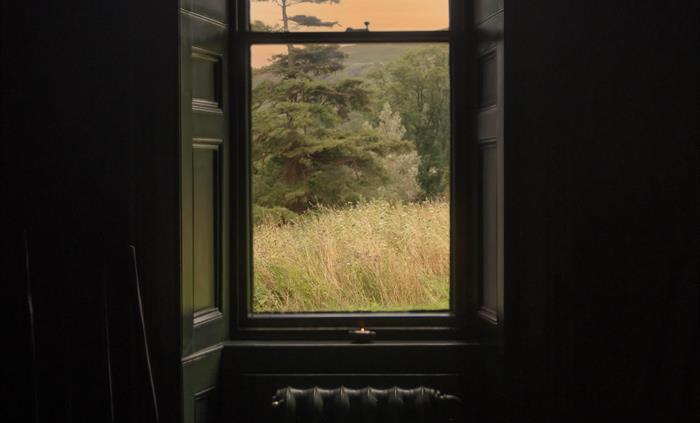 Garden views